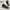 Sepatu Sneaker Italia photo 2