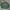 Uniqlo Casual Sweater Pria Green
