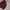 GRAGEBLUE SHAWN COLLAR CARDI SWEATER photo 3