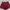 PL Short pants wanita - Celana pendek warna Burgundy - 1pcs photo 4