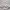 Crewneck Burberry TB Monogram Sweatshirt photo 5