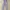 kids (girl’s) jumpsuit size S  photo 2