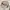 Moricompany Korea Paris Vibes Broken White Sweatshirts Crewn photo 8