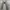90s Thrashed Levi’s 501 Straight Cut Unsound Rags Jeans photo 3