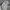 Mark Gonzales Casual Hoody Pria gray photo 6