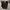 EDWIN Vintage Casual Casual pants Pria brown photo 1