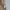 Ralph Lauren Cotton Long Pants Slim Leg Snap women With Tag photo 7