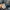 Winter coat parka jacket Norway  photo 10