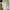 Muslim Casual dress Wanita cream photo 1