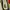 New Balance 327 Shoes photo 4