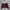 H&M Streetwear Casual Bomber Jacket Wanita Multicolor