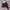 H&M Streetwear Casual Bomber jacket Wanita multicolor photo 4