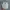 Topi visor Raplh Lauren golf photo 6