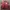 Japanese brand Vintage Streetwear Bomber jacket Pria red photo 1
