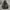 Adidas Sportswear Casual Windbreaker Pria black photo 2