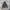 00s Heavy Weight Blank Hoodie Forest Green photo 4