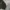 00s Heavy Weight Blank Hoodie Forest Green photo 3