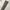 Element Skater Casual Casual pants Pria multicolor photo 2