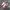 Y2K Sneakers Pria white red photo 1