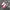 Y2K Sneakers Pria White Red