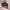 VETEMENTS Luxury Casual Hoody Wanita pink photo 4