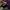 Tracktop Adidas superstar tapped photo 6