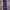 Tracktop Adidas superstar tapped photo 8