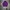 Tracktop Adidas superstar tapped photo 2