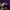 Tracktop Adidas superstar tapped photo 5