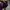 Tracktop Adidas superstar tapped photo 7