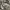 Celana Jorts Y2K Army AMORE PURO JAPAN Y2K Jorts Army Pants photo 7