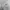 Head Streetwear Sportswear Windbreaker Pria cream photo 6