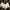 Crop Top Wanita White