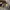 VANS Streetwear Casual Sneakers Pria white yellow photo 2