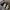 VANS Streetwear Casual Sneakers Pria white yellow photo 1