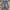short/jorts spy photo 6