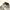 Workpants Uniqlo photo 7