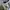 Skech3rs Sweater Crewneck Gray Basic