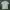 Kaos Banana Republic Polo Shirt Size M