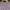 National Geographic Tee photo 10