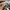 Chuck Taylor All Star photo 5