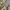 jortspants sypderbilt big pocket  photo 3