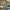jortspants sypderbilt big pocket photo 9