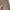 Streetwear Pea coat Pria multicolor photo 4
