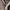 Streetwear Pea coat Pria multicolor photo 5