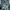 Lock Heaven Skull Thermal Tanktop
