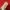 Puma Casual Track jacket Pria red photo 4
