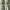 Private mode camouflage track jacket  photo 3