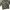 Private mode camouflage track jacket photo 9