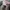 Converse Chuck Taylor All Star 70S OX Low Pink Egret photo 4